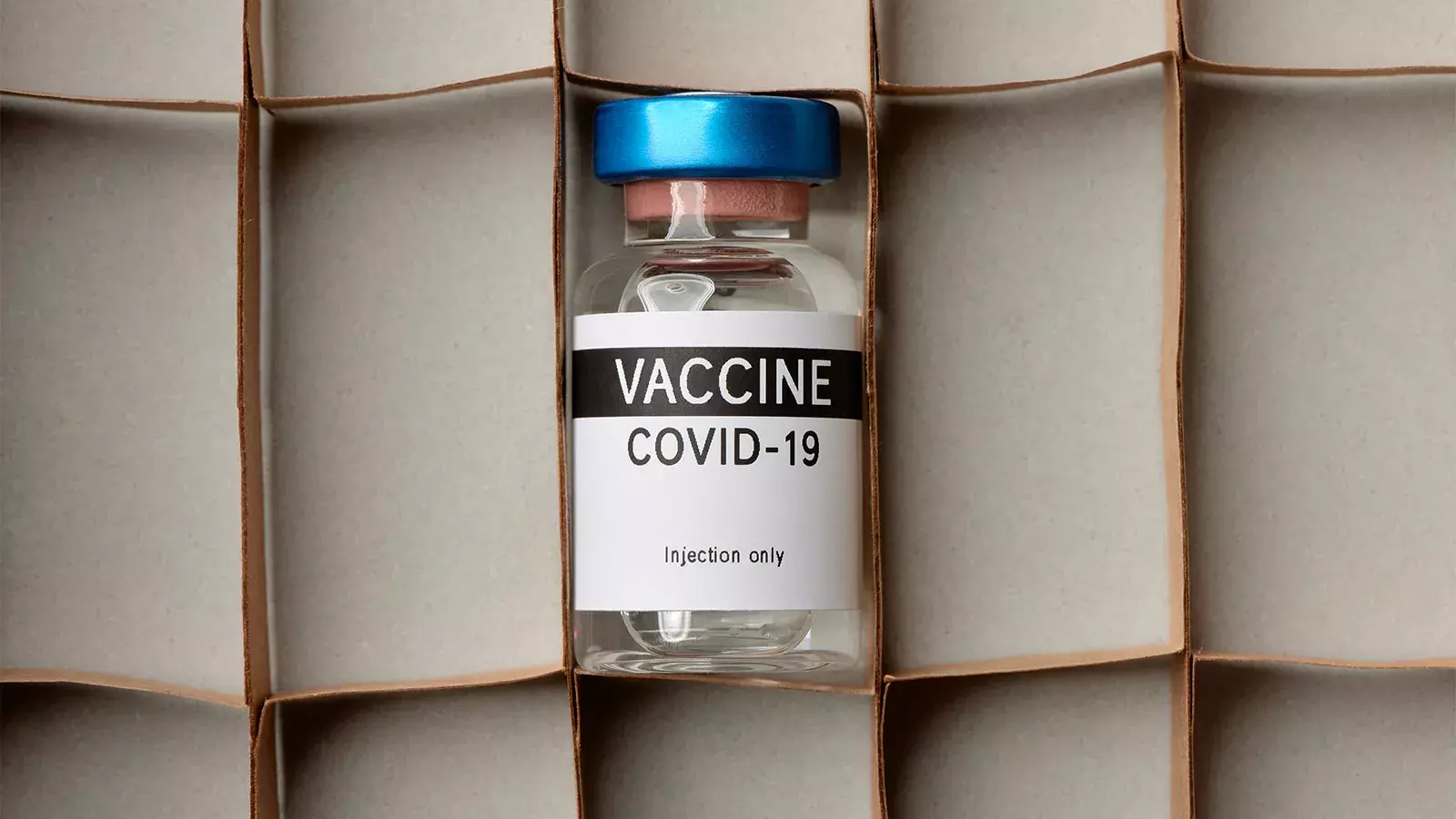 COVID vaccination target - India COVID vaccination target - India