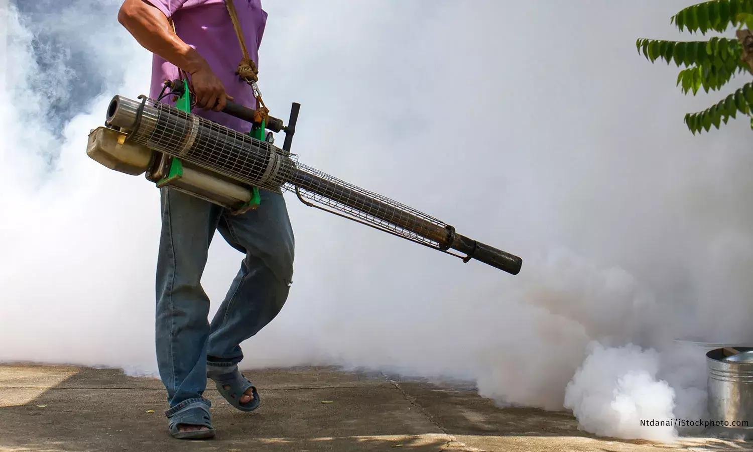 How India Fared In Battling Vector-Borne Diseases In 2024 How India Fared In Battling Vector-Borne Diseases In 2024