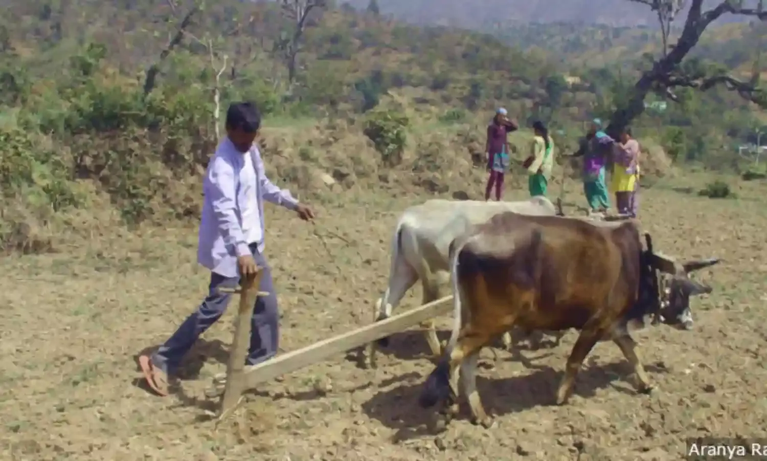 Uttarakhand Tries To Retain Migrants Back Home Due to COVID-19. Migrants Point To Systemic Issues