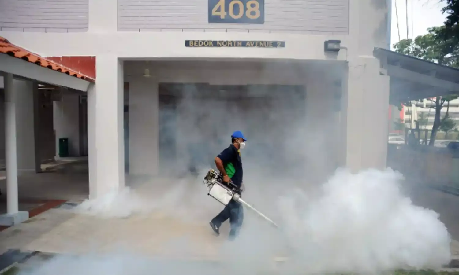 Zika Heads For India, Older Strain Lurks Since 1952