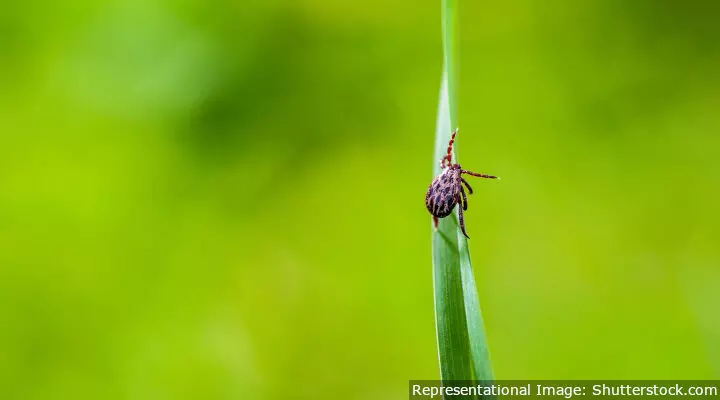 Why A Western Ghats Initiative Could Have Lessons For Zoonotic Disease Control