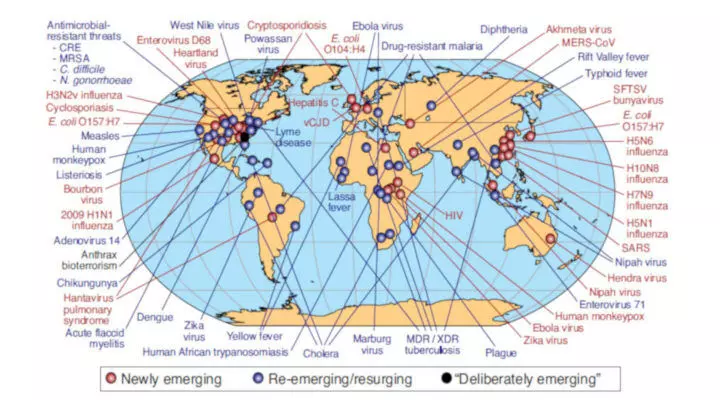 Flu-Like Epidemic Could Kill 80 Mn Globally, Wipe Out 5% Global GDP: New Report Flu-Like Epidemic Could Kill 80 Mn Globally, Wipe Out 5% Global GDP: New Report