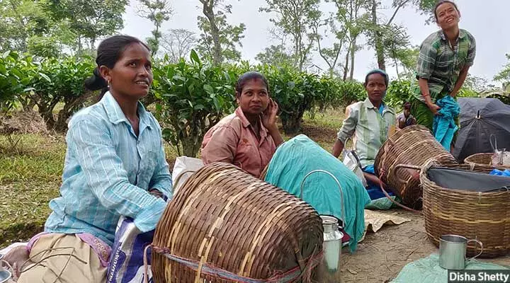 Assam’s World-Famous Tea Gardens Are Deadly For Pregnant Women