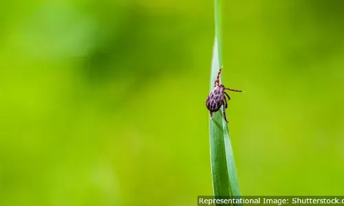 Why A Western Ghats Initiative Could Have Lessons For Zoonotic Disease Control Why A Western Ghats Initiative Could Have Lessons For Zoonotic Disease Control