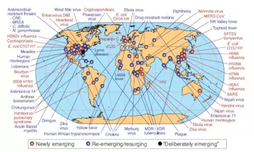 Flu-Like Epidemic Could Kill 80 Mn Globally, Wipe Out 5% Global GDP: New Report Flu-Like Epidemic Could Kill 80 Mn Globally, Wipe Out 5% Global GDP: New Report