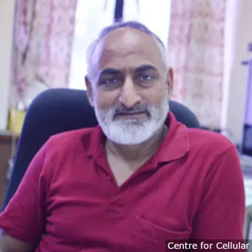 ‘Nothing Very Unusual About SARS-CoV-2 In India That Makes It More Or Less Virulent’