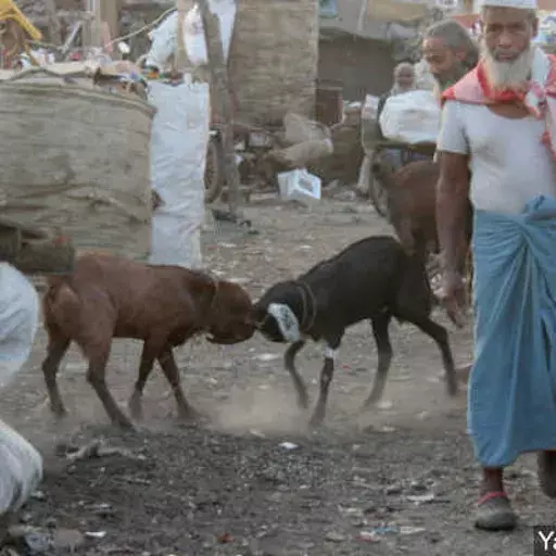 COVID-19: Little Access To Healthcare, Cramped Quarters Put Rohingyas At High Risk COVID-19: Little Access To Healthcare, Cramped Quarters Put Rohingyas At High Risk