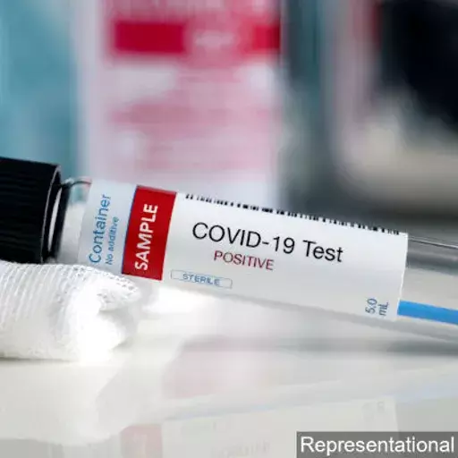 Explainer: What Happens During A COVID-19 Test Explainer: What Happens During A COVID-19 Test