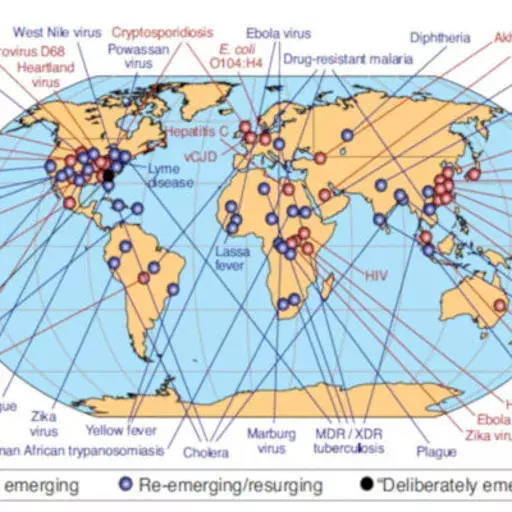 Flu-Like Epidemic Could Kill 80 Mn Globally, Wipe Out 5% Global GDP: New Report Flu-Like Epidemic Could Kill 80 Mn Globally, Wipe Out 5% Global GDP: New Report