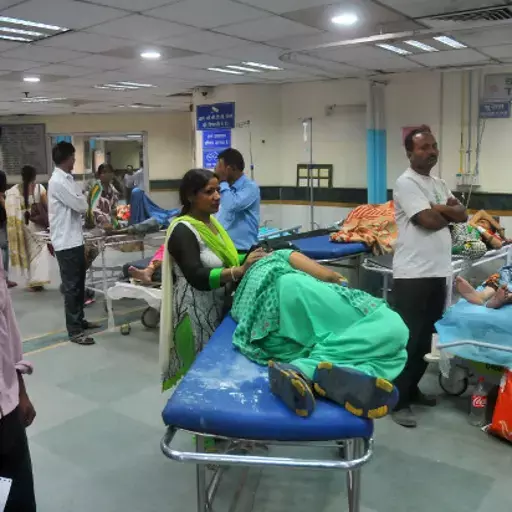 Public Spats Over Mosquito-Borne Disease In Metros Obscure Wider Resurgence