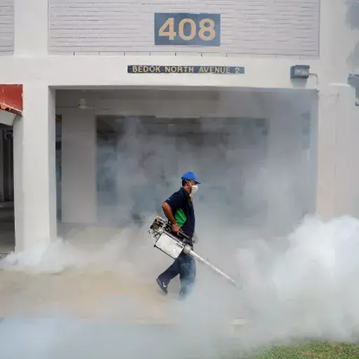 Zika Heads For India, Older Strain Lurks Since 1952