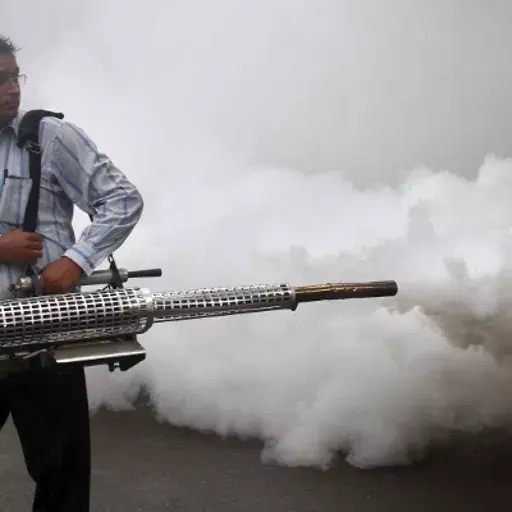 How Dengue Has Breached Indias Class Barriers How Dengue Has Breached Indias Class Barriers