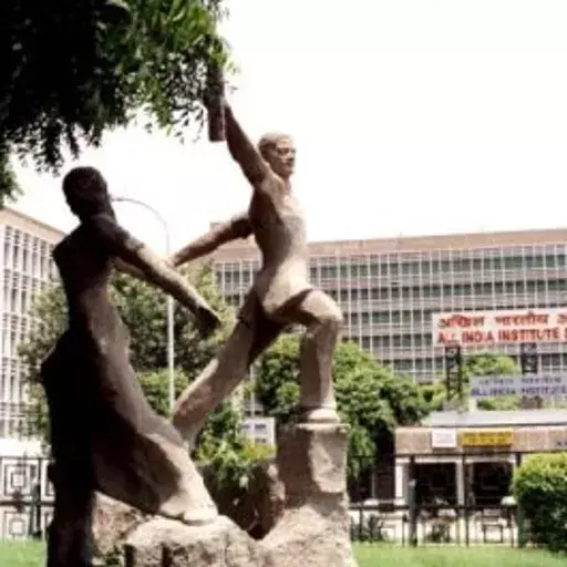 An Ambitious Government Hospital Chain Project Falters