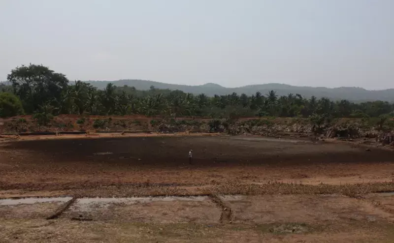 Behind Karnataka’s Anger: Rainfall Deficits In 90% Of State Behind Karnataka’s Anger: Rainfall Deficits In 90% Of State