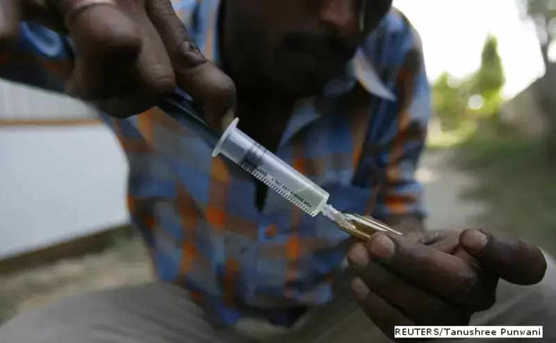 Why Punjab Is Indias Narcotic Haven Why Punjab Is Indias Narcotic Haven